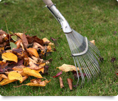 garden_cleaning