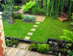 Gardening in London from Top Gardenig Services