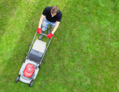 Lawn Mowing from Top Gardening Services